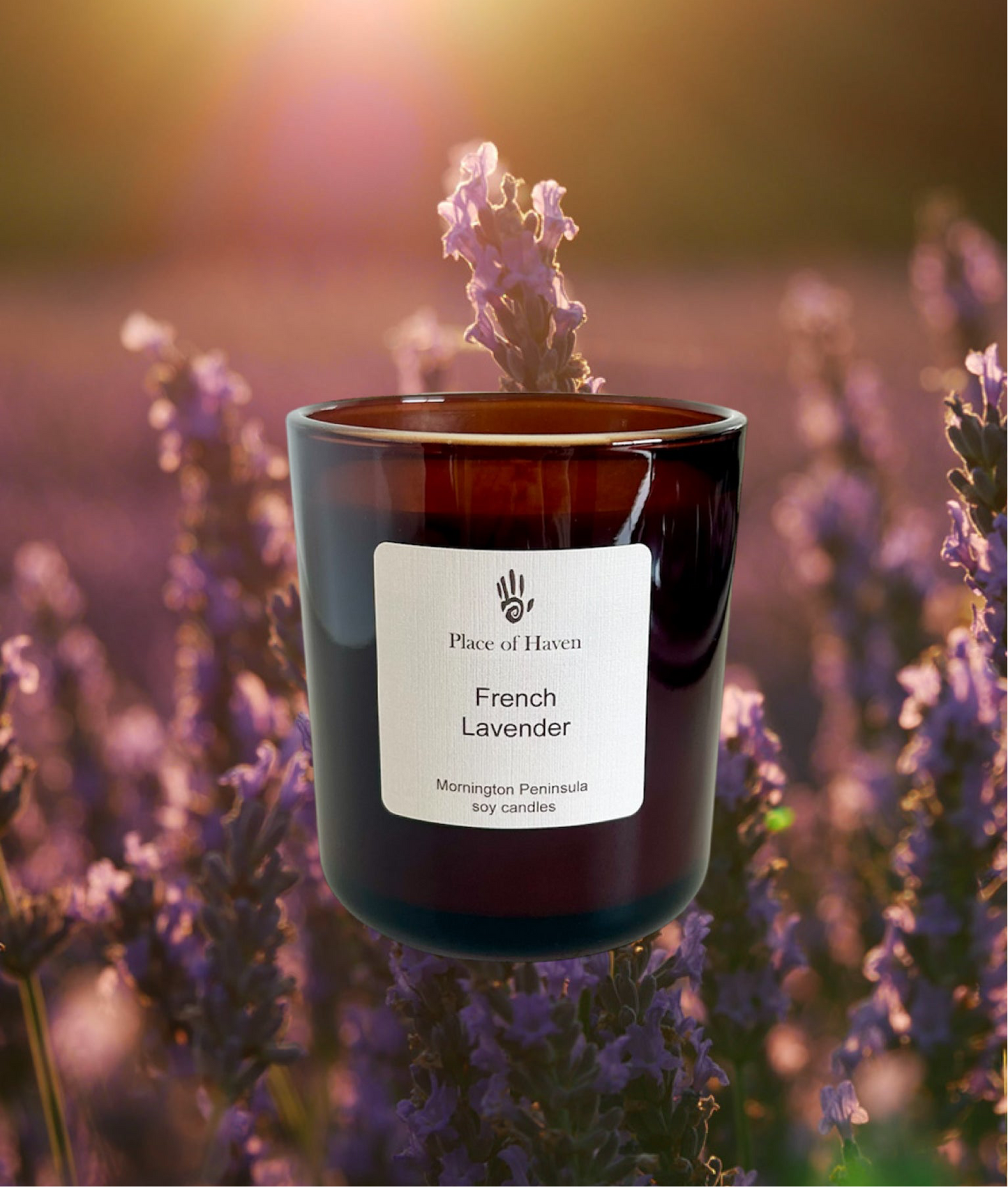 French Lavender
