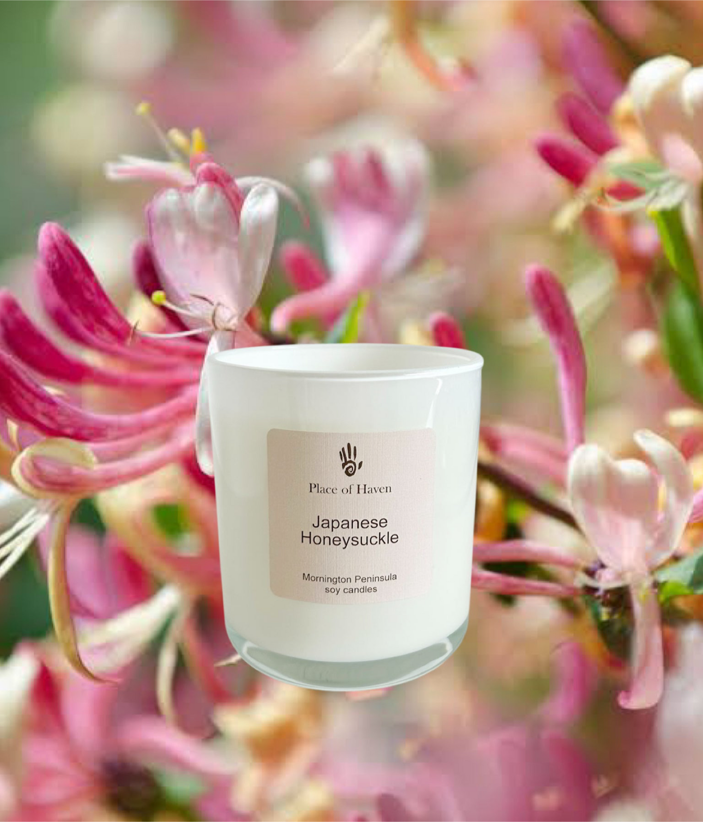 Japanese Honeysuckle